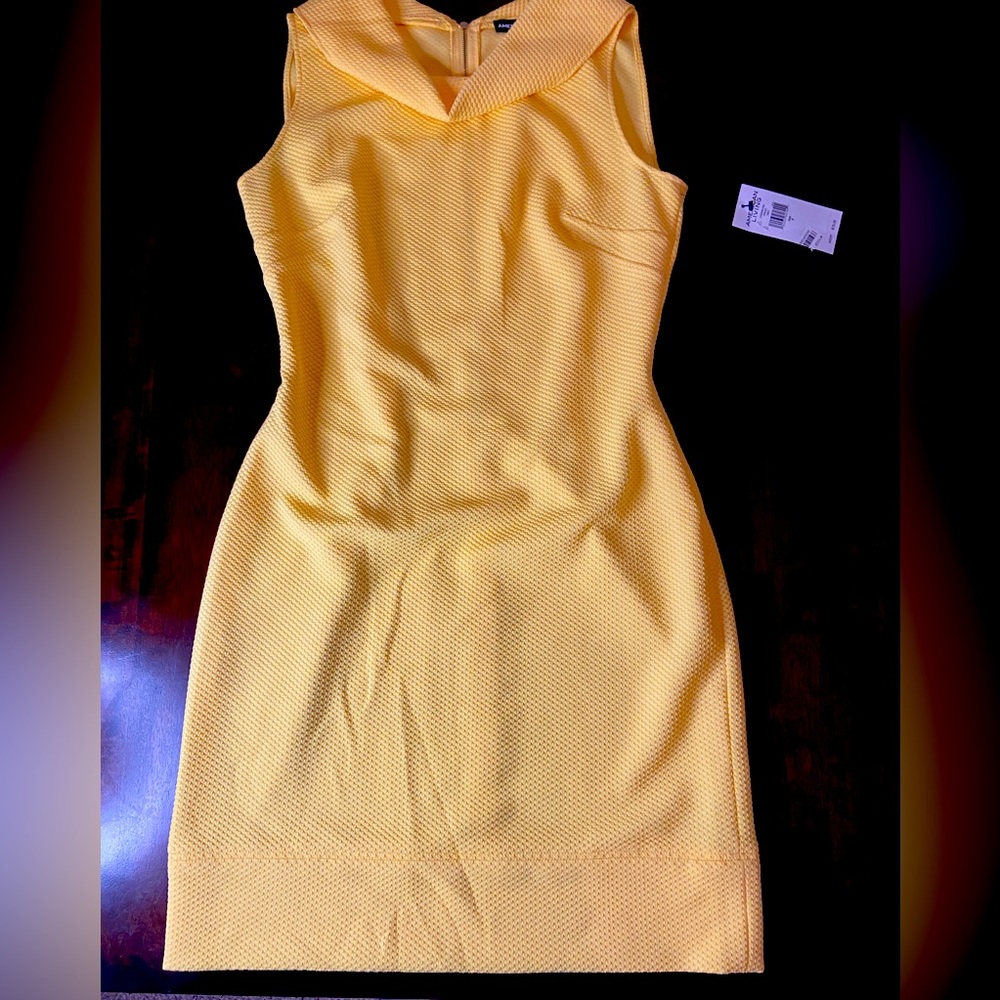 💛American Living Summer Dress💛 Size 8